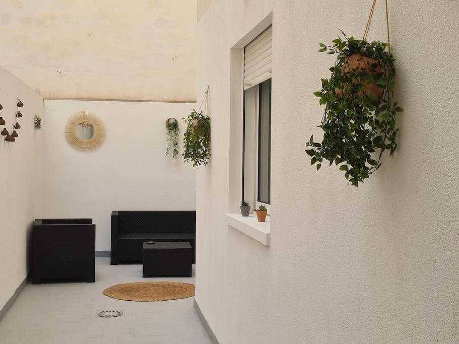 Beautiful Apartment With Patio Torrevieja Exterior foto