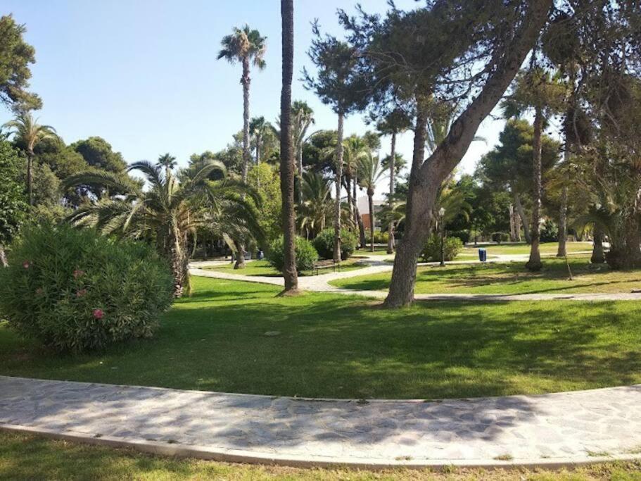 Beautiful Apartment With Patio Torrevieja Exterior foto